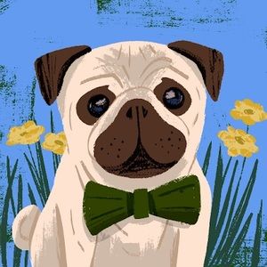 Meet your Posher, Nik